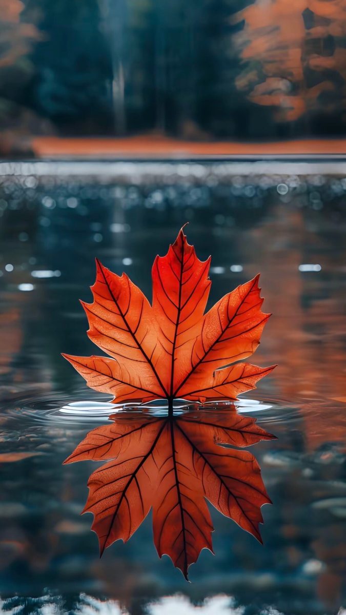 hình nền thiên nhiên 4k