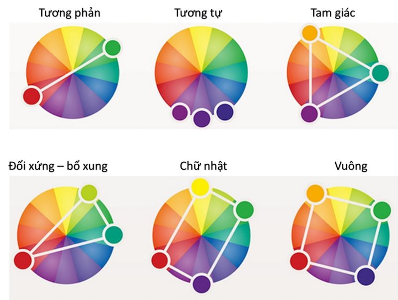 bảng màu phối đồ cho da trắng