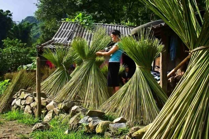 Ưu nhược điểm của vải lanh là gì