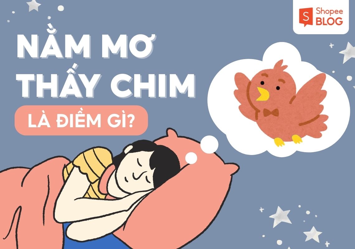 Giải mã nằm mơ thấy chim mang nhiều ý nghĩa