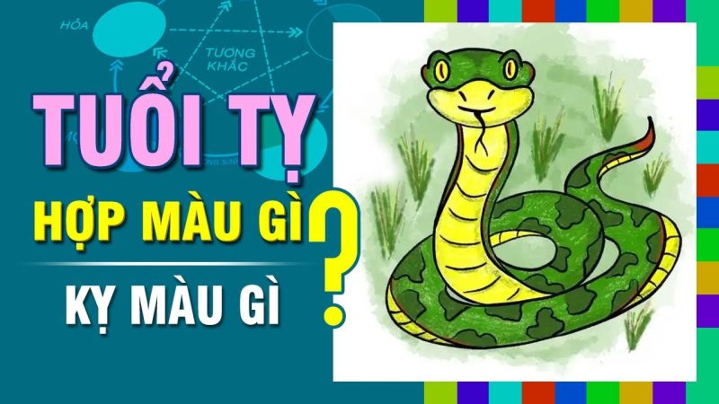 Tuổi Đinh Tỵ 1977 hợp màu gì