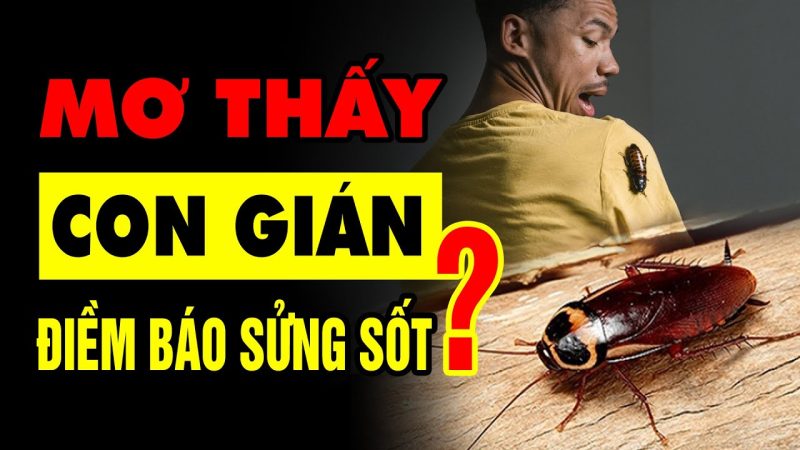 Mơ thấy giết gián