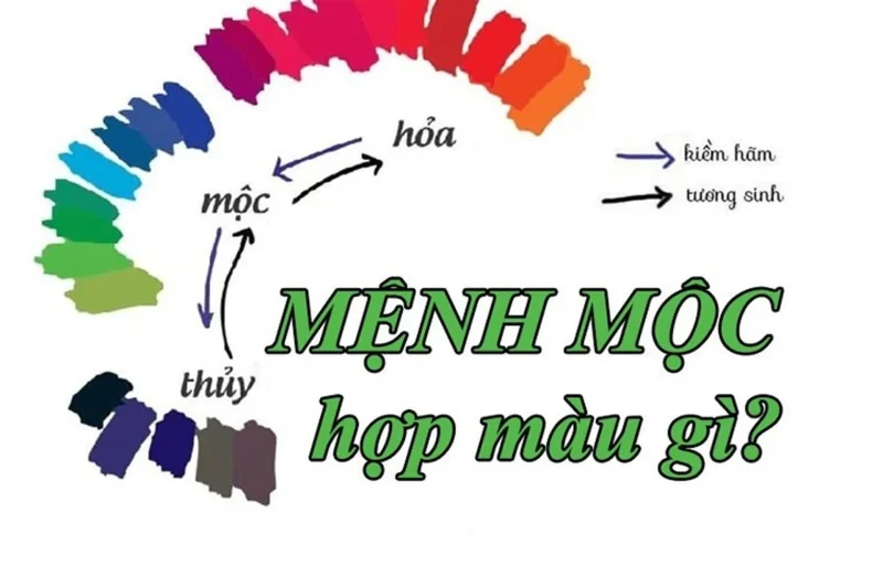 mệnh mộc hợp màu gì để thu hút tài lộc