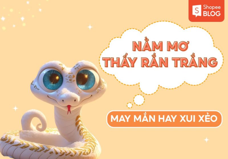Ý nghĩa chung khi nằm mơ thấy rắn trắng