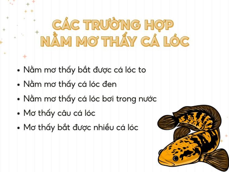 nằm mơ thấy bắt được cá lóc may mắn