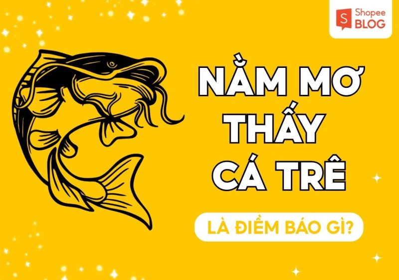 nằm mơ thấy cá trê