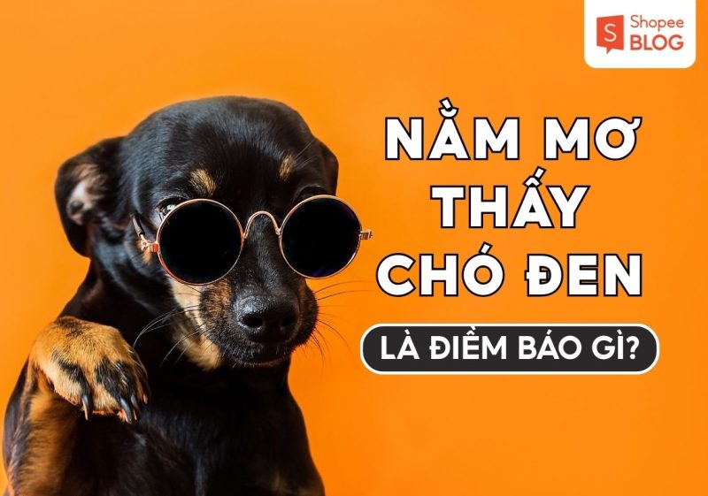 Nằm mơ thấy chó đen cảnh báo về sự phản bội