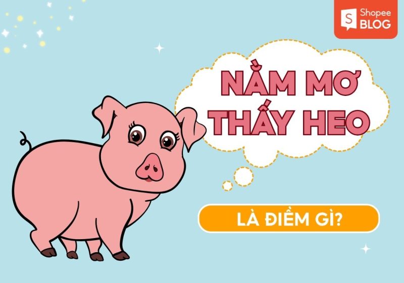 nằm mơ thấy một đàn heo con