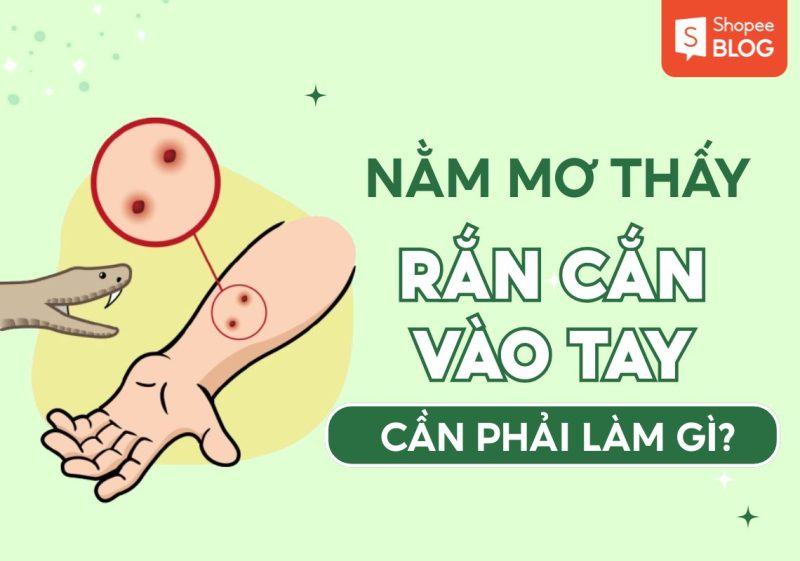 Nằm mơ thấy rắn cắn vào tay là điềm báo tài lộc hay rủi ro.