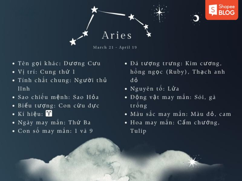 Cung bạch dương nam hợp với cung nào