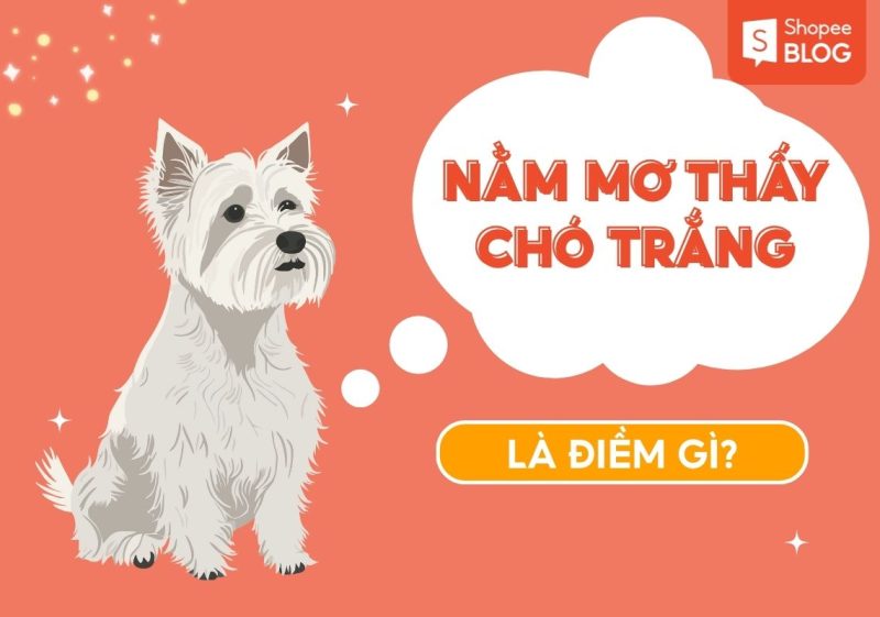 mơ thấy chó trắng