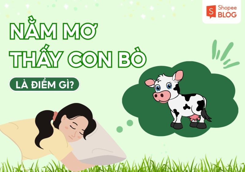 mơ thấy bò