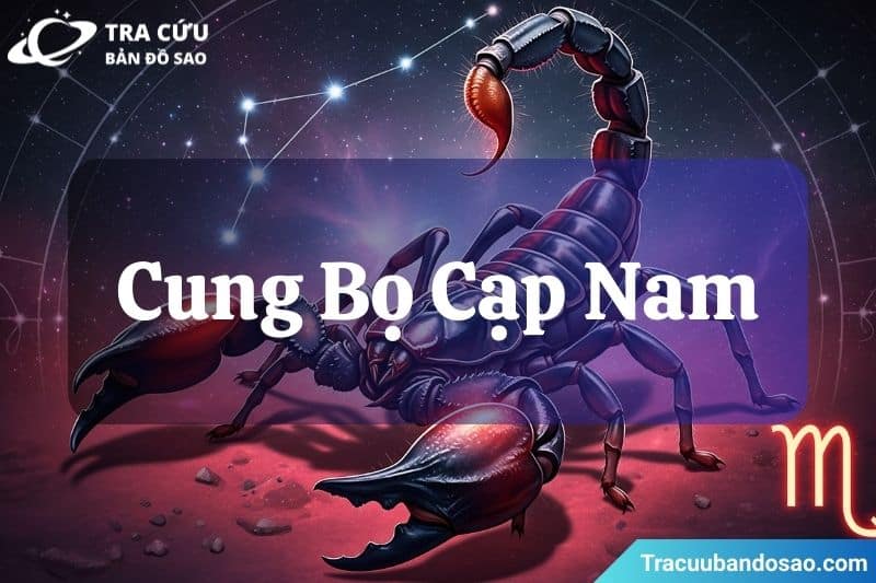 cung bọ cạp nam khi thích một người