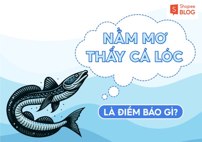 giải mã giấc mơ thấy cá lóc là điềm tốt hay xấu