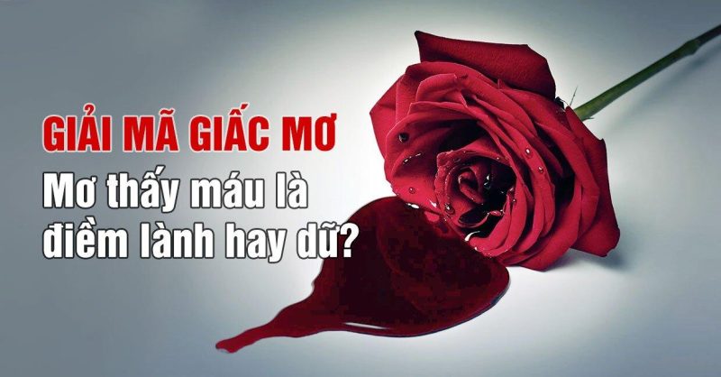 giải mã giấc mơ nằm mơ thấy máu
