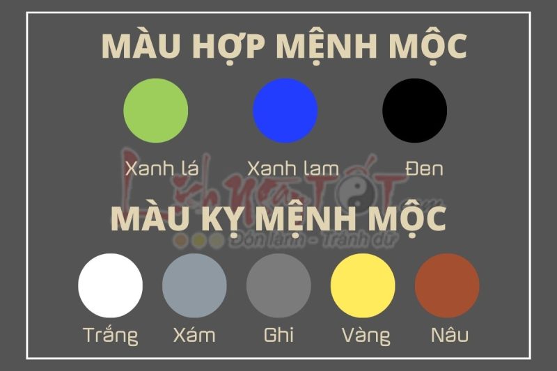 màu tương sinh và tương khắc với mệnh mộc
