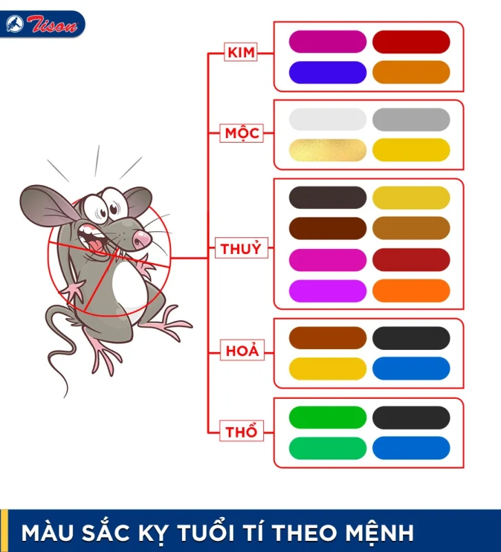 tuổi tý kỵ màu gì