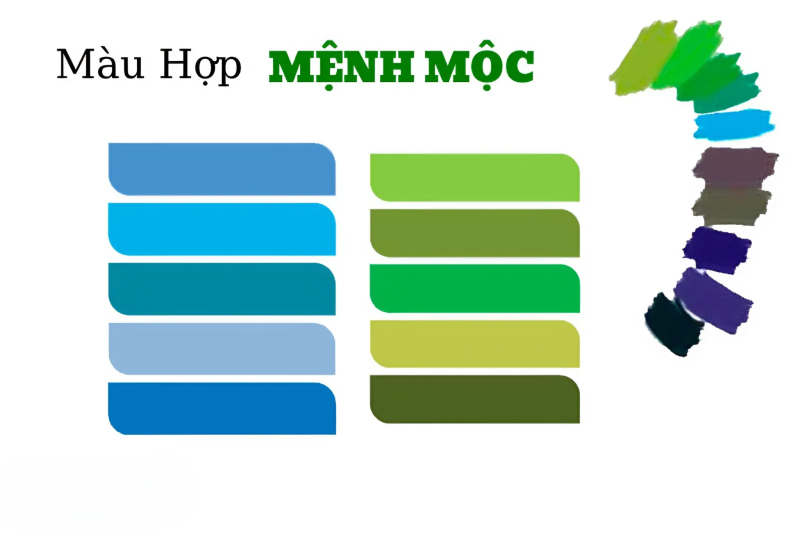 màu tương hợp với mệnh mộc