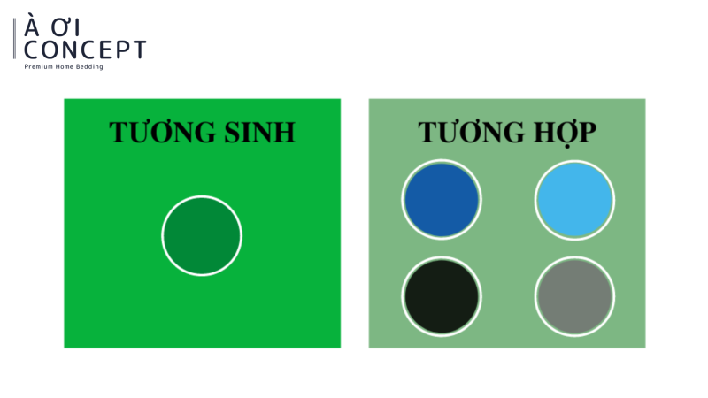 màu sắc may mắn cho mệnh mộc