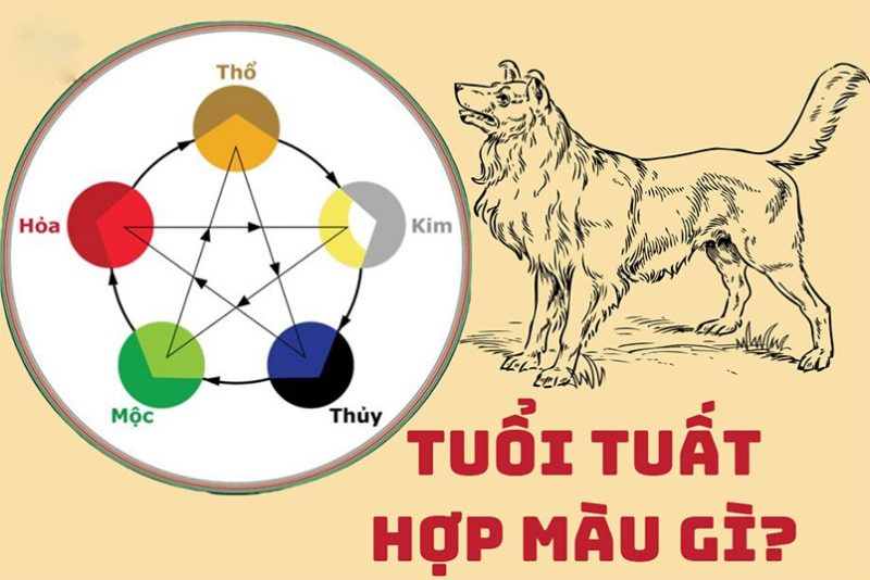 Tổng quan về người tuổi tuất hợp màu gì