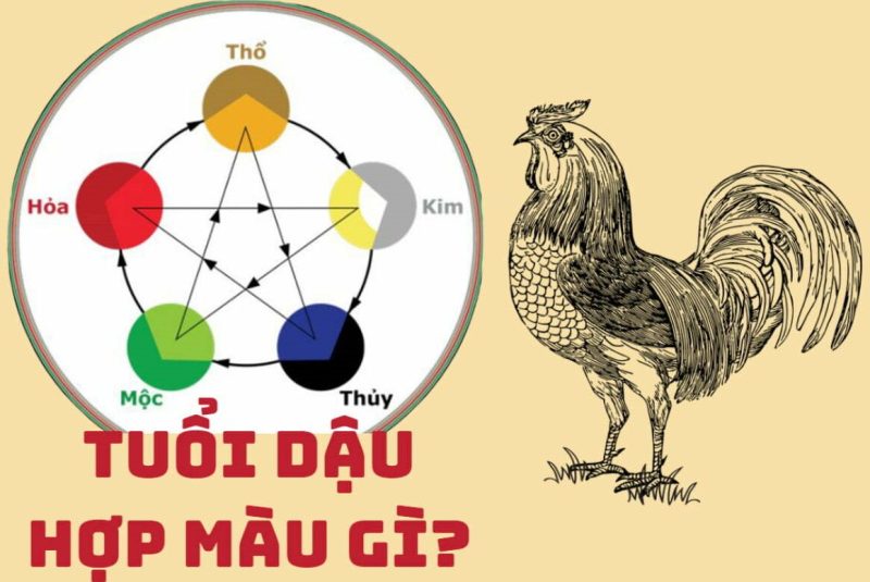 Tuổi Ất Dậu 2005 hợp màu gì