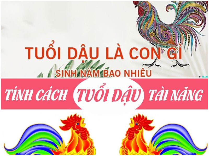 Tuổi Đinh Dậu hợp màu nào