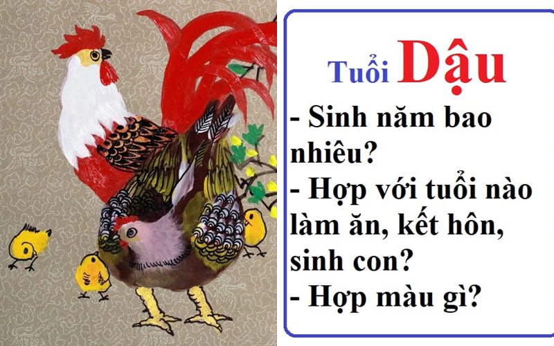 Chọn màu trang phục hợp tuổi Dậu
