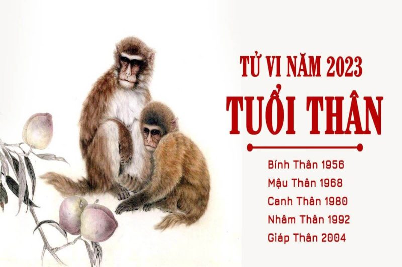 tuổi thân hợp màu gì theo ngũ hành