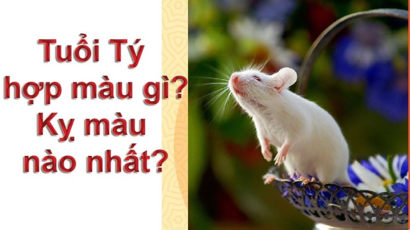 tổng quan về người tuổi Tý