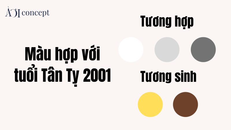 người tuổi Tý hợp màu xanh dương