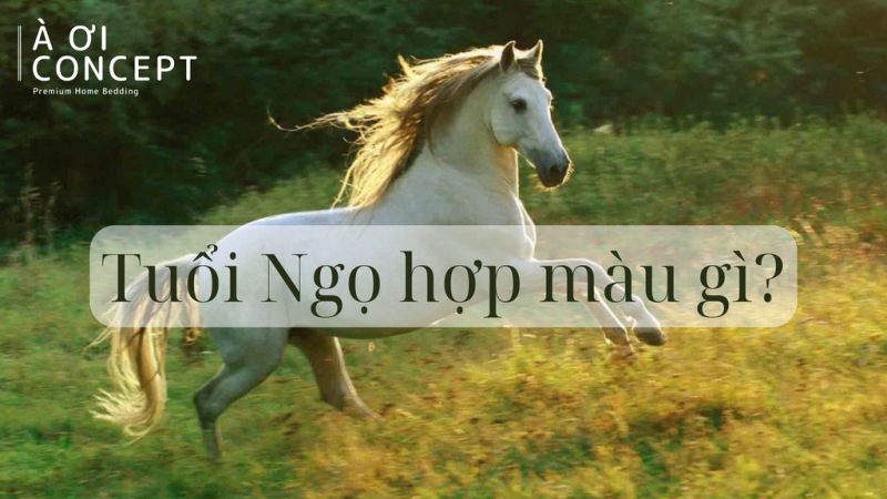 Tổng quan tính cách và vận mệnh người tuổi Ngọ