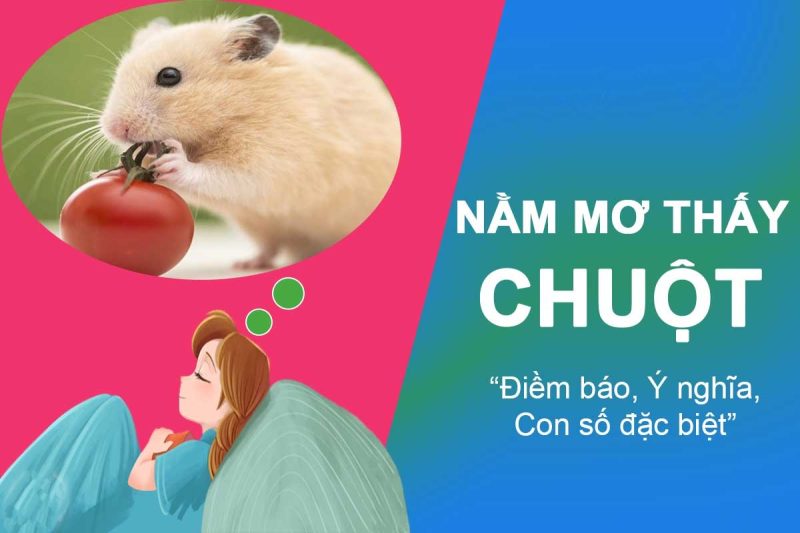 mơ thấy chuột chạy vào nhà