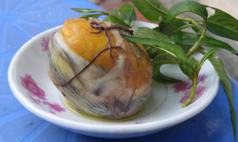mùng 1 có nên ăn trứng vịt lộn không