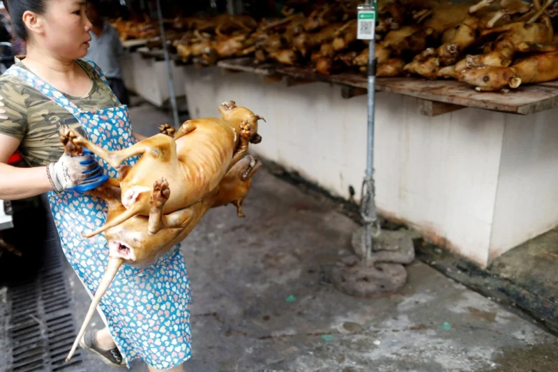 quan niệm kiêng ăn thịt chó đầu tháng