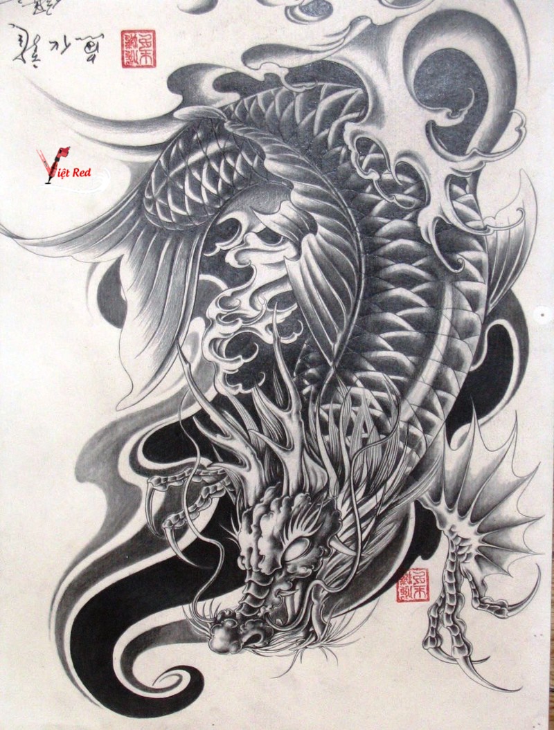 cá chép full lưng