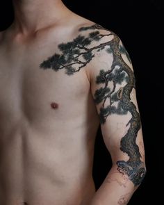 hình xăm cây tùng đẹp