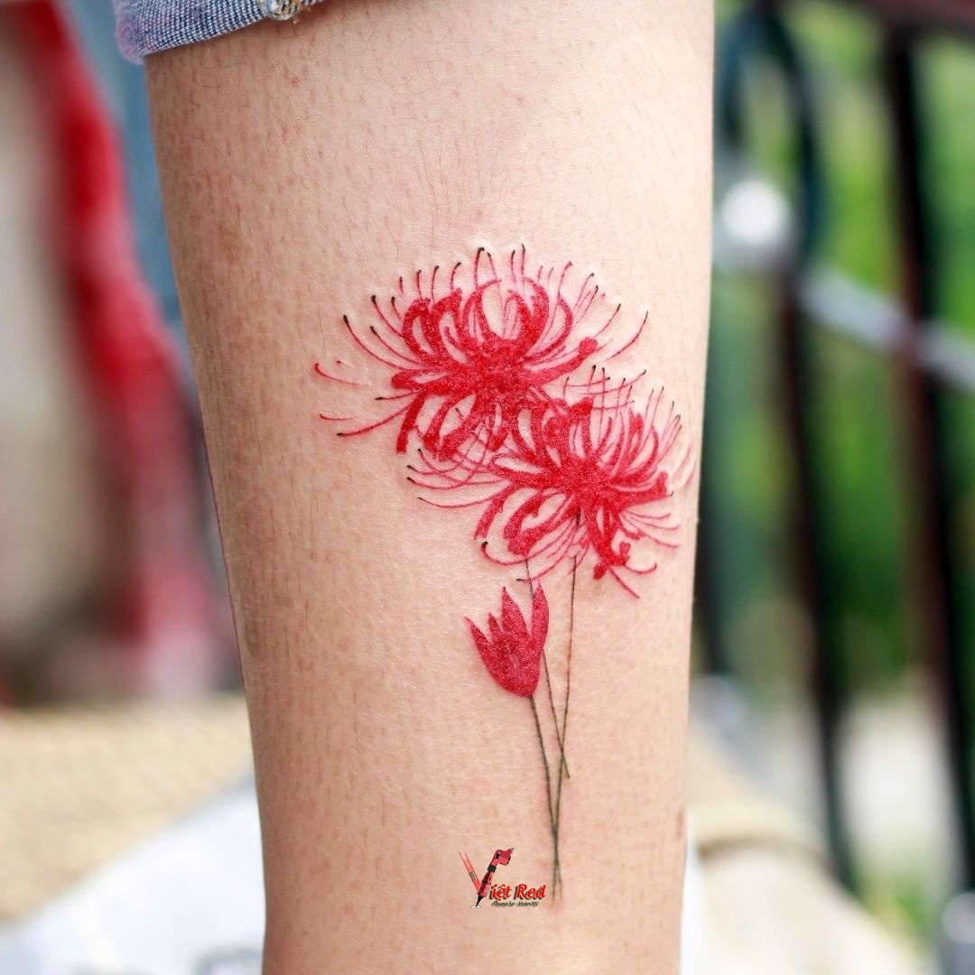 hình xăm hoa bỉ ngạn cho nam