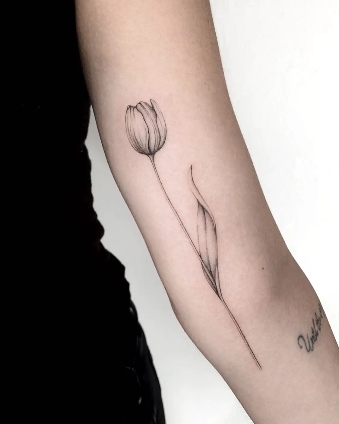 hình xăm hoa tulip