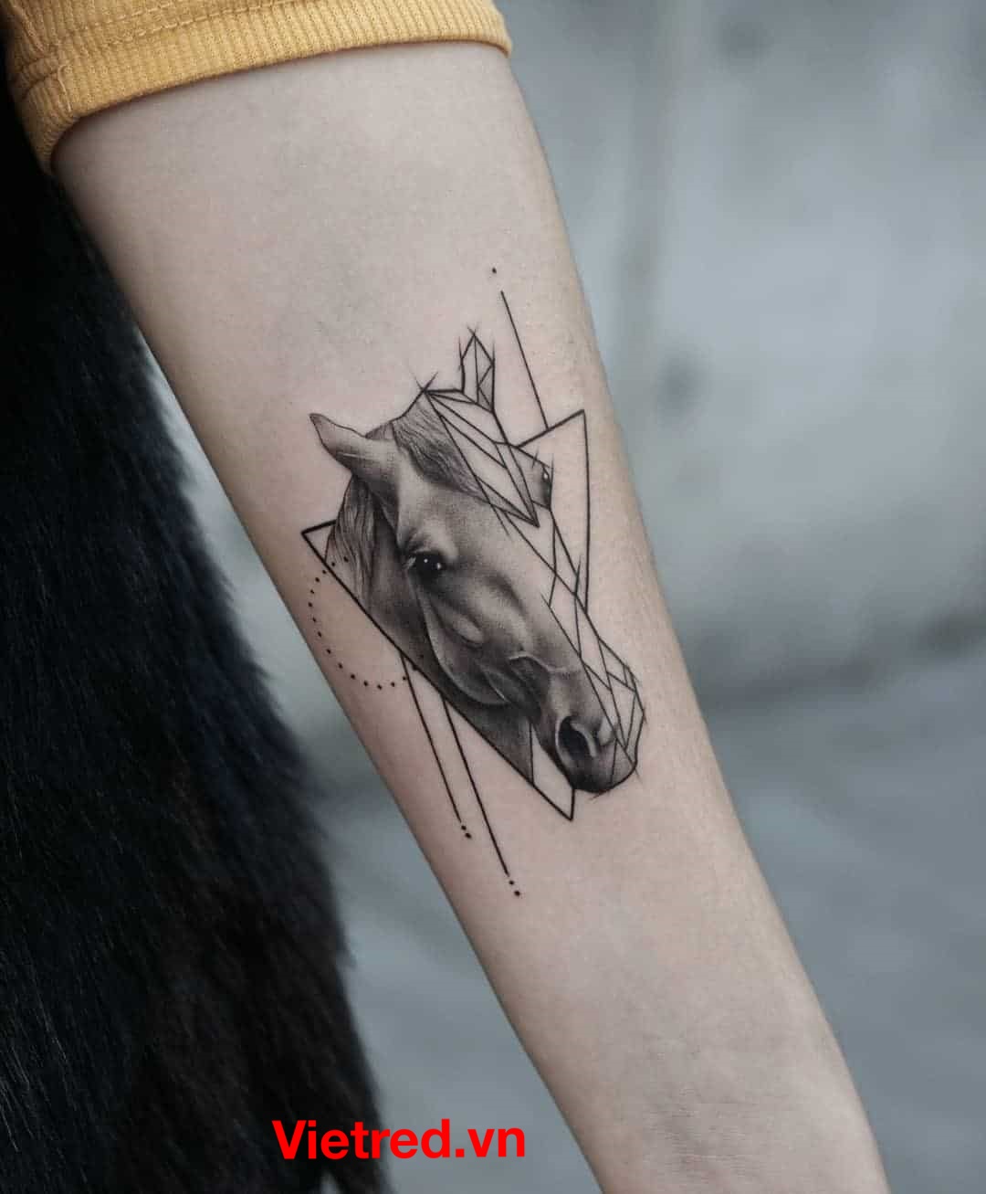hình xăm ngựa full lưng